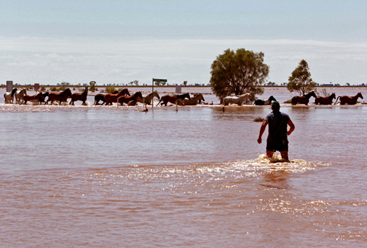 홍수가 발생한 호주 남동부 뉴사우스웨일수 주에서 3일 한 농부가 말 떼를 물 밖으로 몰아내고 있다. 이 지역에는 지난 크리스마스 이후집중 호우가 쏟아졌으며, 호주 재해당국으 주(州) 내 2곳을 자연 재해지역으로 선포했다